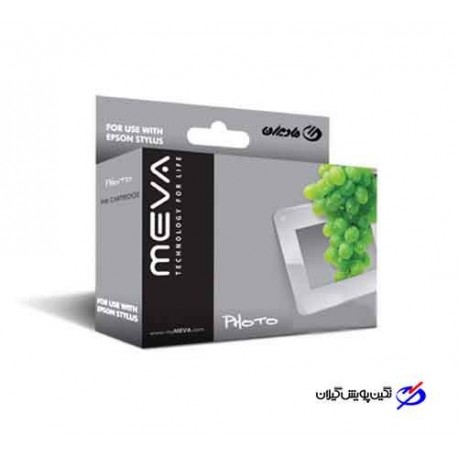 CARTRIDGE EPSON MEVA T040